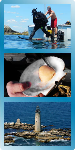 divecharterpagepictures